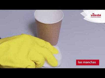 Esponja Mágica Miraclean Blanca Vileda Prof Pack X 12 Unids